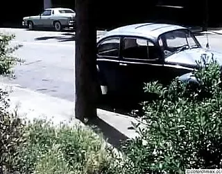 Mile de la viande de john holmes porno sexe video