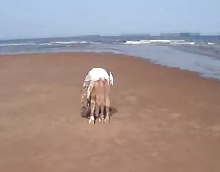 Beau buisson porno grosse pute