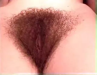 Le rêve : poilue femmes 4 cochones