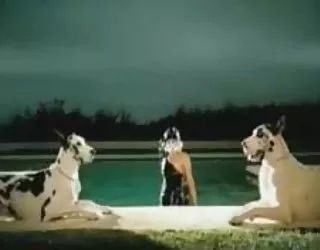 Lady gaga bj état. porno xx gratuit