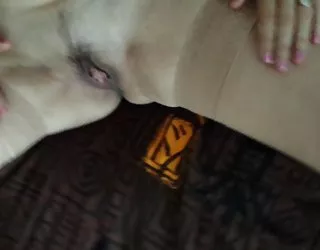 Mature qui avec les salopes porno