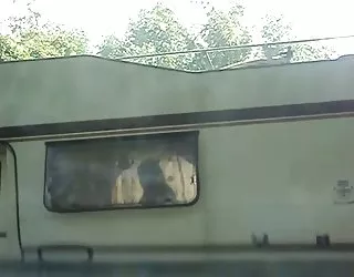 Joyeux campeurs film porno sex