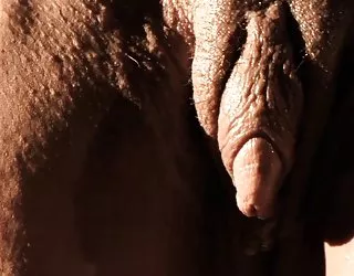 Les melons frick en qualité hd saloppe porno