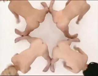 Séance d'entraînement d'aérobic salope film