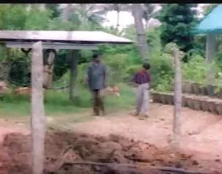 Dans géniales seins sexe video