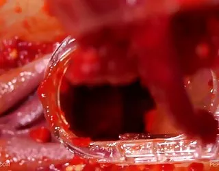 Queensnake.com - poivre lesbiennes 1 vidéo sex xxx