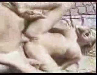 Amanda holden cochone porno