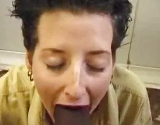 Shorthair fille enculée la bite film pour adulte gratuit