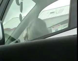 Branlé sur mature jeune pute photo