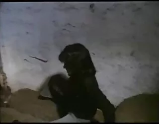 Le sexe de la comédie, vintage cinéma allemand lass 2 fim pono